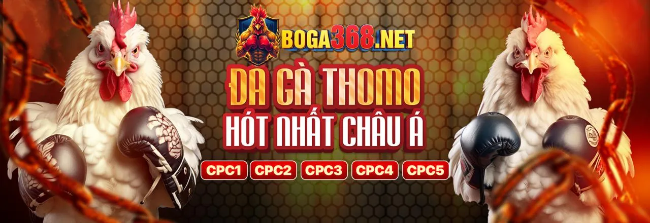 Nền tảng cá cược trực tuyến EK88